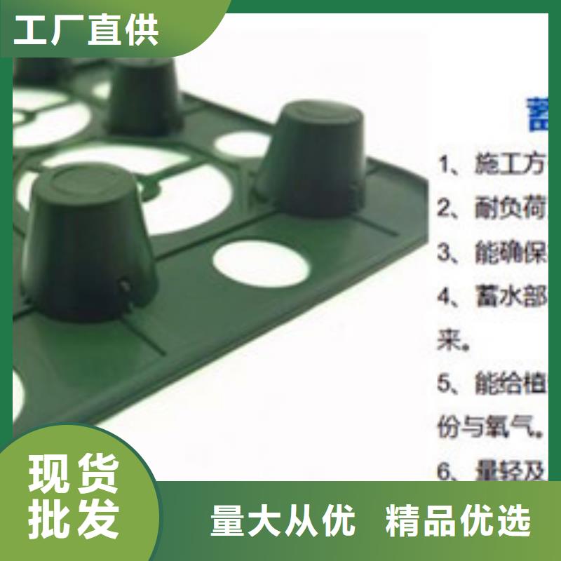 排水板车库排水板老客户钟爱