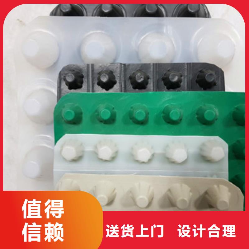 排水板塑料排水板现货充足