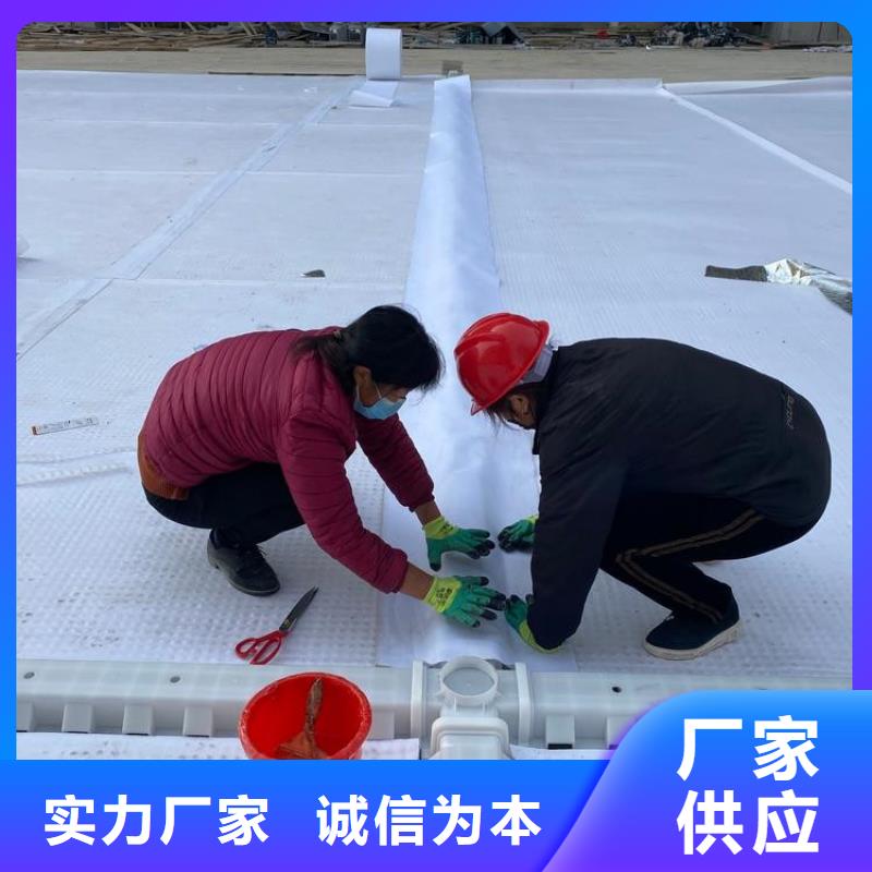 排水板_土工膜源头厂家经验丰富