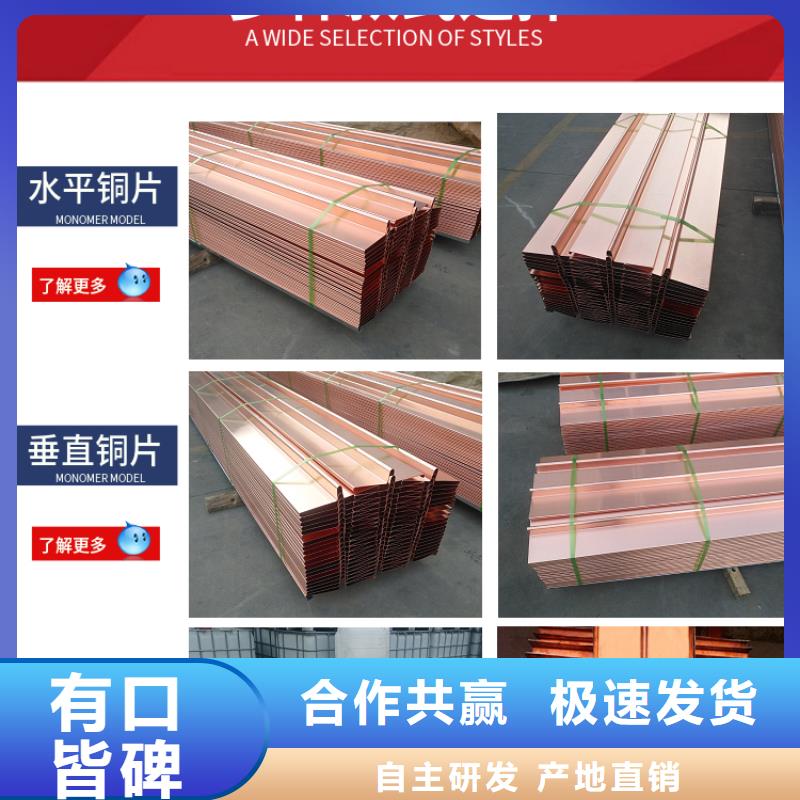 止水铜片土工格栅订购