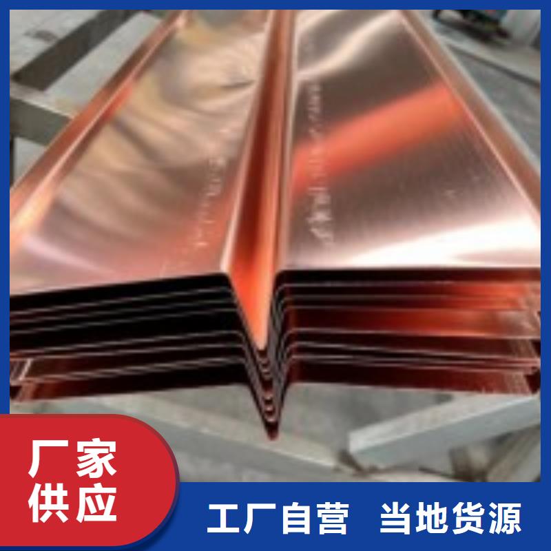 止水铜片土工格栅订购