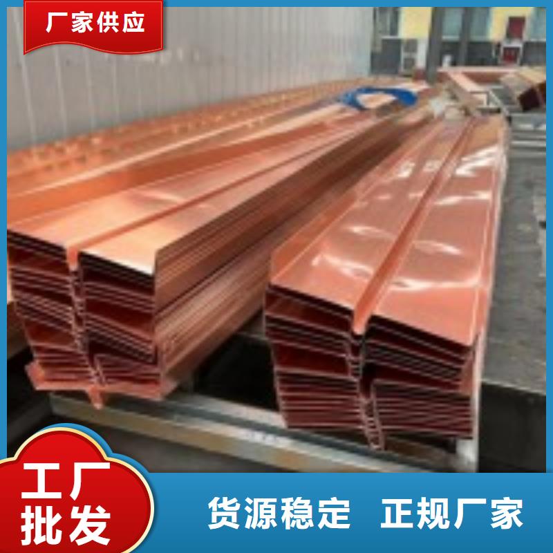 止水铜片土工格栅订购