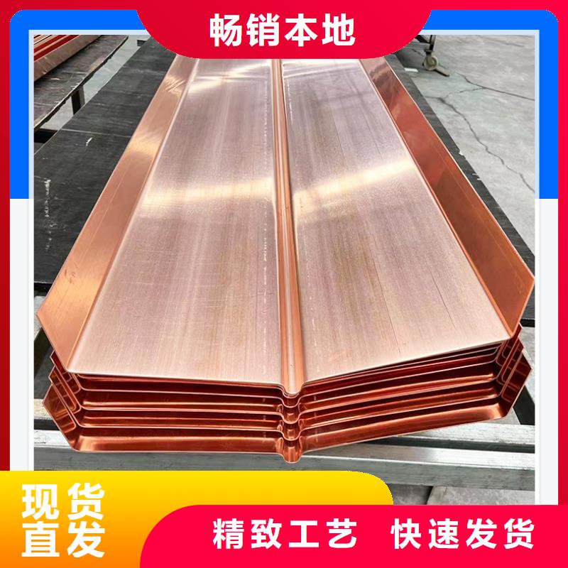止水铜片土工格栅订购