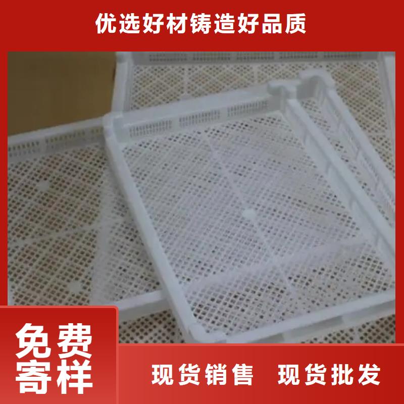 质量好的鸡舍塑料垫板实体厂家