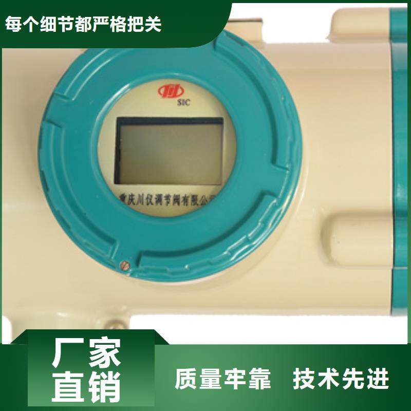BD-313大规模厂家