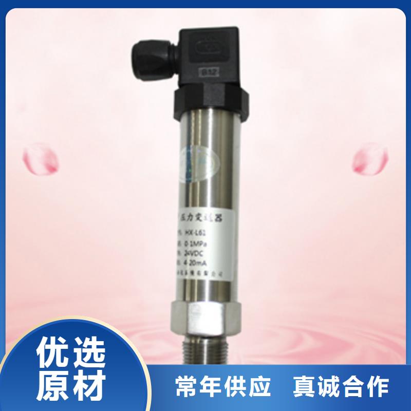 TM6051-AA品牌-报价_索正自动化仪表有限公司