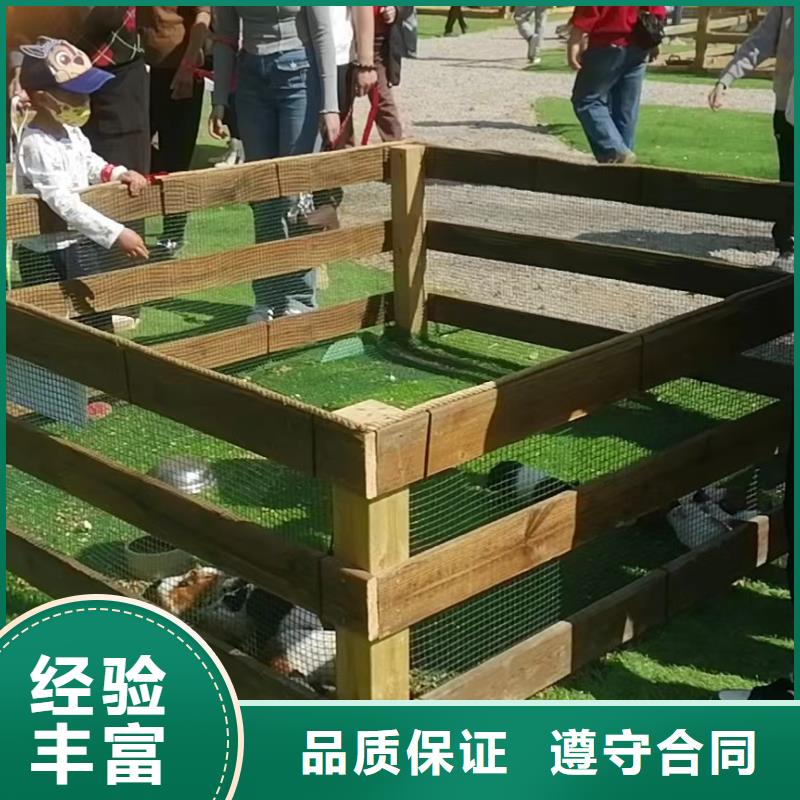 马戏团/羊驼杂技表演租赁服务好评度高