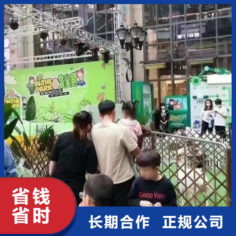 马戏团/羊驼【出租企鹅表演】专业可靠