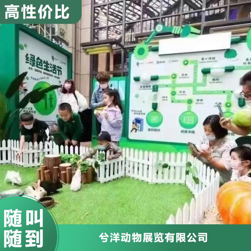 【马戏团/羊驼】,美人鱼表演解决方案