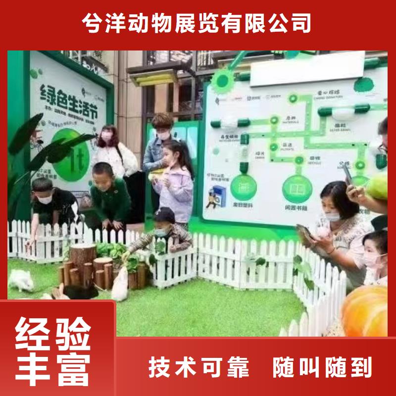 马戏团/羊驼_【【美人鱼出租演出】】承接
