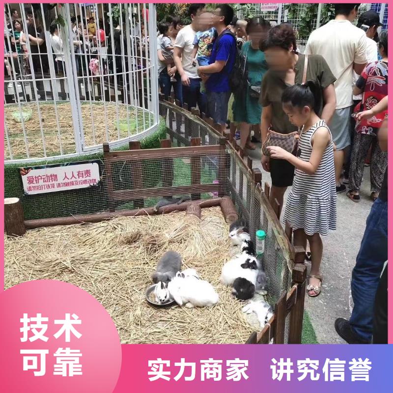 【马戏团/羊驼鹦鹉表演行业口碑好】