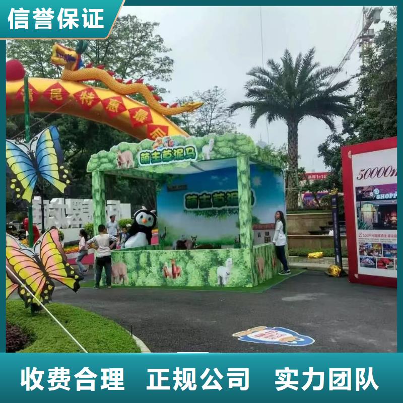 马戏团/羊驼_马戏团表演出租2025专业的团队