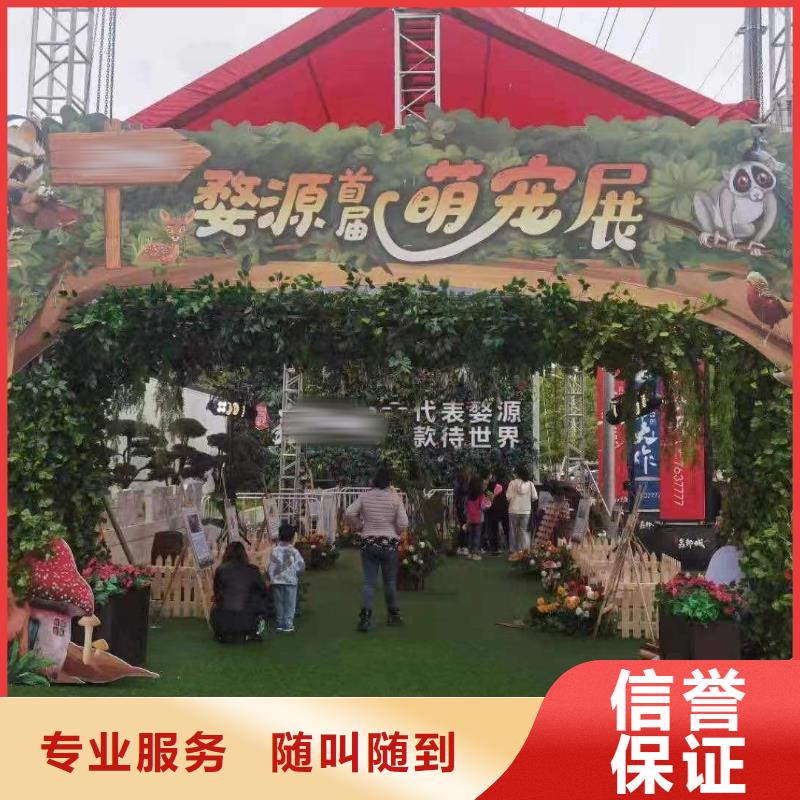 马戏团/羊驼_【活体羊驼租赁】资质齐全