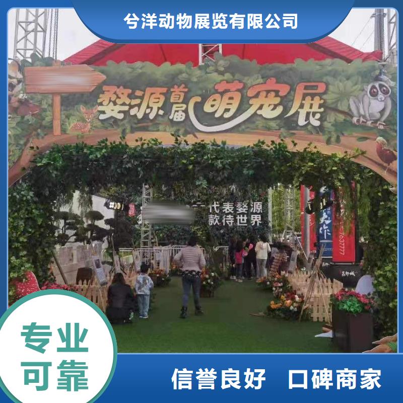 马戏团/羊驼【吉祥百鸟展】诚实守信