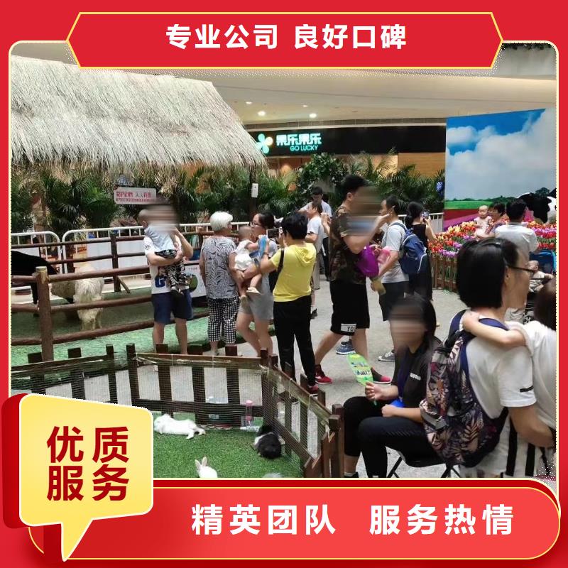 马戏团/羊驼动物表演出租团队