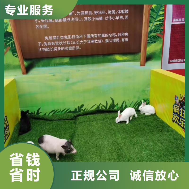 马戏团/羊驼【出租企鹅表演】专业可靠