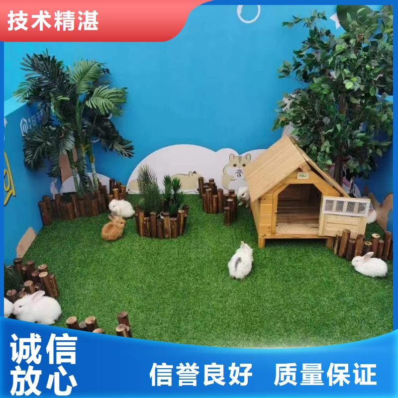 马戏团/羊驼【小香猪宠物出租】长期合作