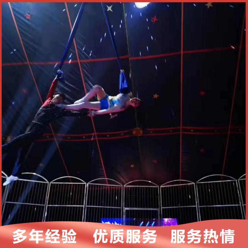 马戏团/羊驼【出租海狮表演】案例丰富