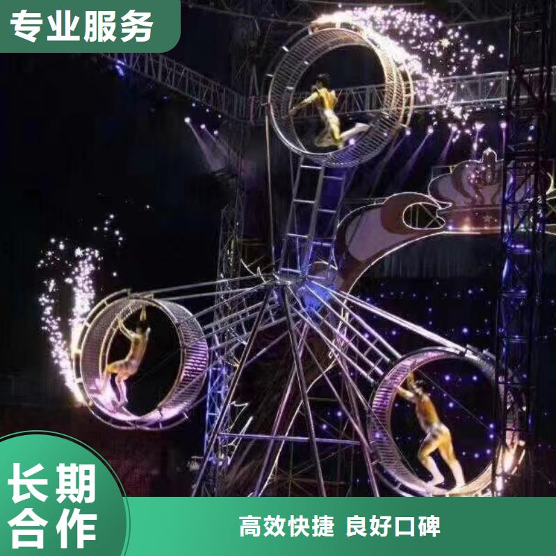 马戏团/羊驼【企鹅租赁】行业口碑好