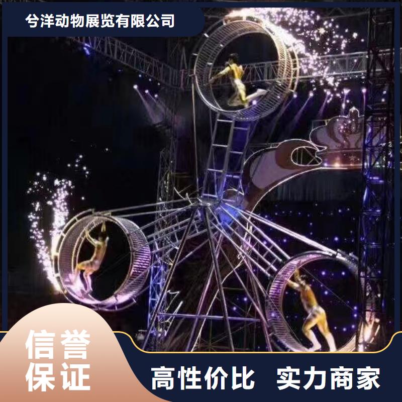 【马戏团/羊驼】,美人鱼表演解决方案