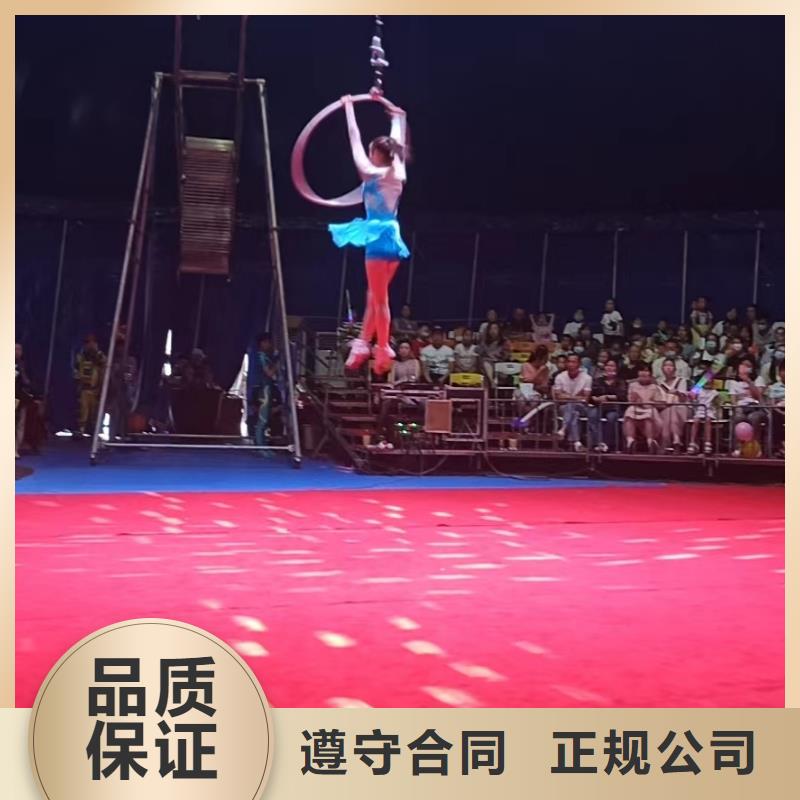 【马戏团/羊驼】出租表演企鹅公司