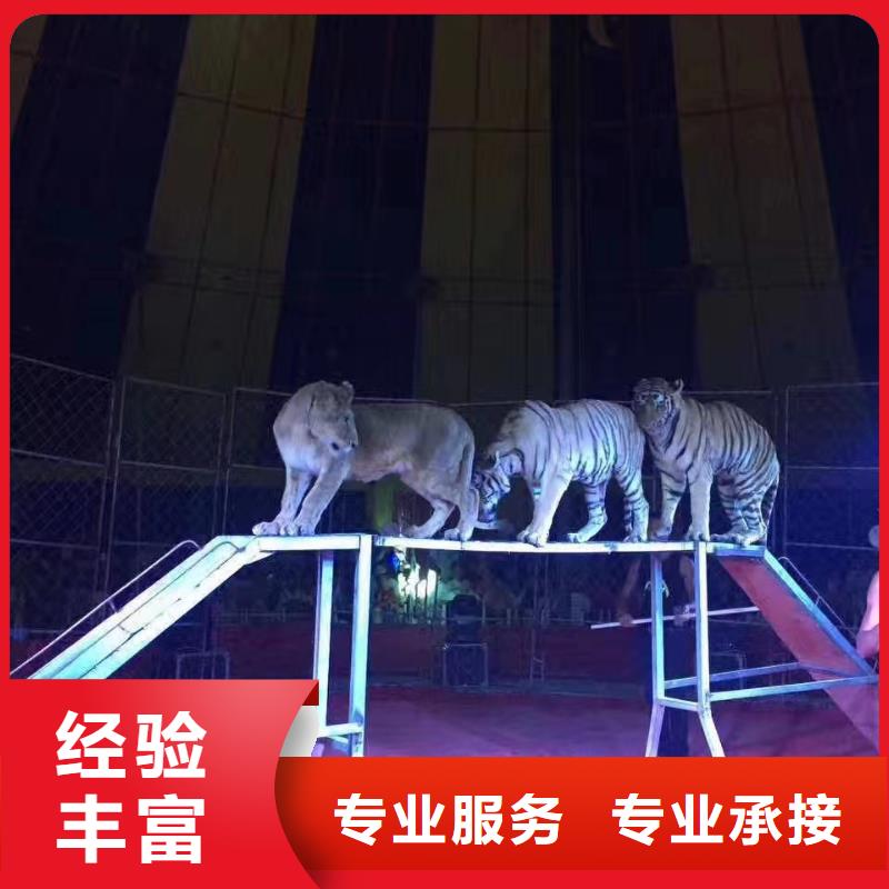 马戏团/羊驼鹦鹉表演欢迎合作
