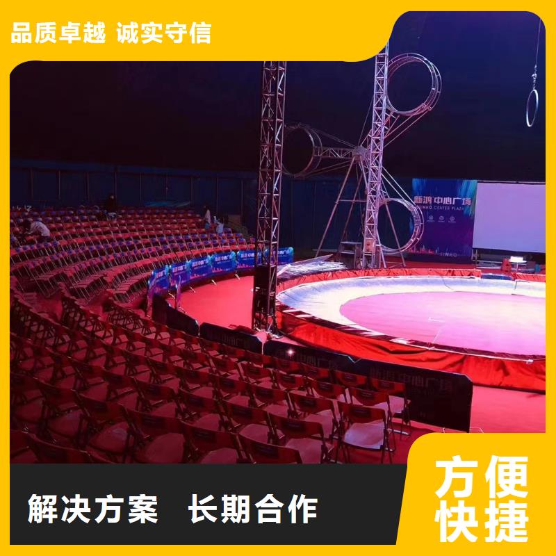 马戏团/羊驼【出租企鹅表演】专业可靠