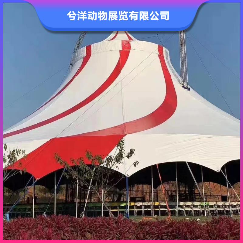 马戏团/羊驼出租海狮表演随叫随到