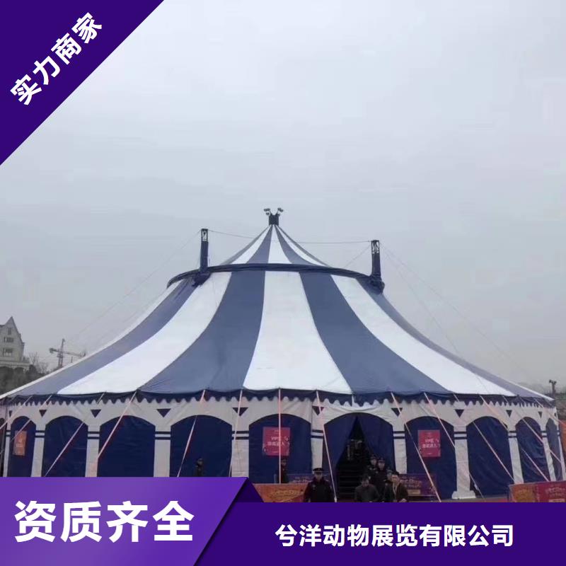 马戏团/羊驼马戏团表演价格透明