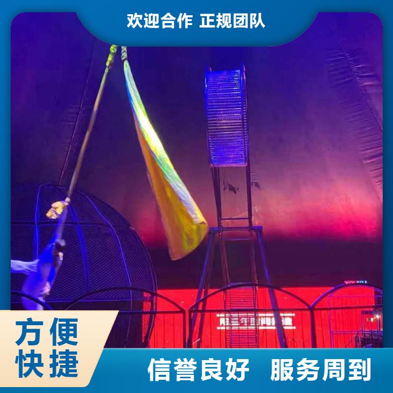 马戏团/羊驼【企鹅租赁】行业口碑好