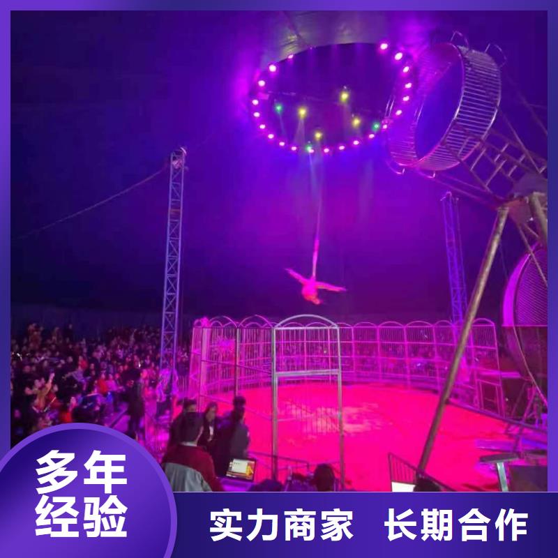 马戏团/羊驼【活体羊驼租赁】收费合理