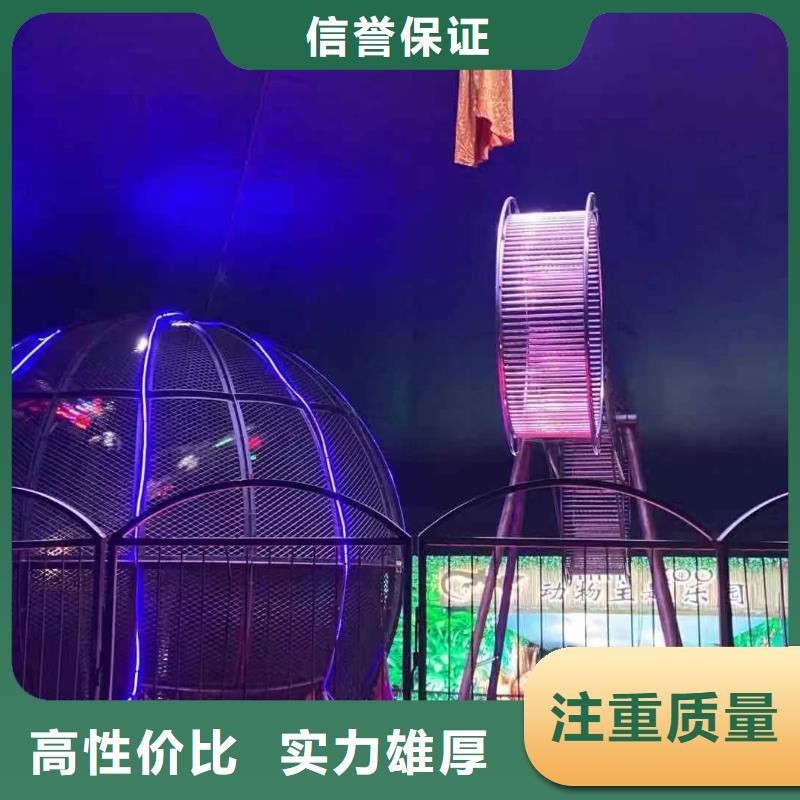 马戏团/羊驼_动物杂技表演租赁齐全