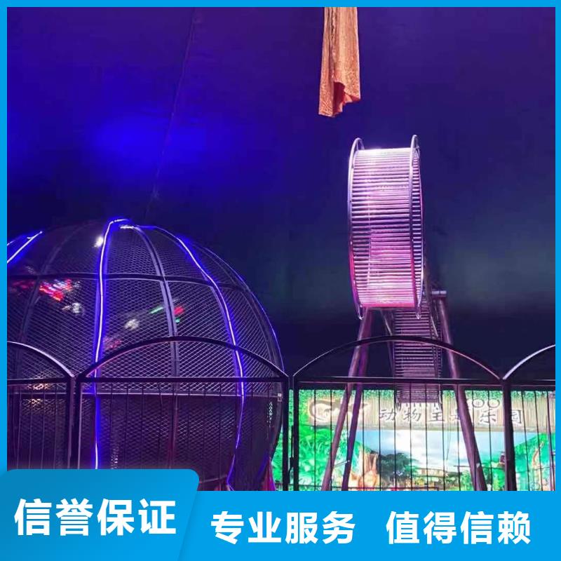 马戏团/羊驼动物表演出租团队