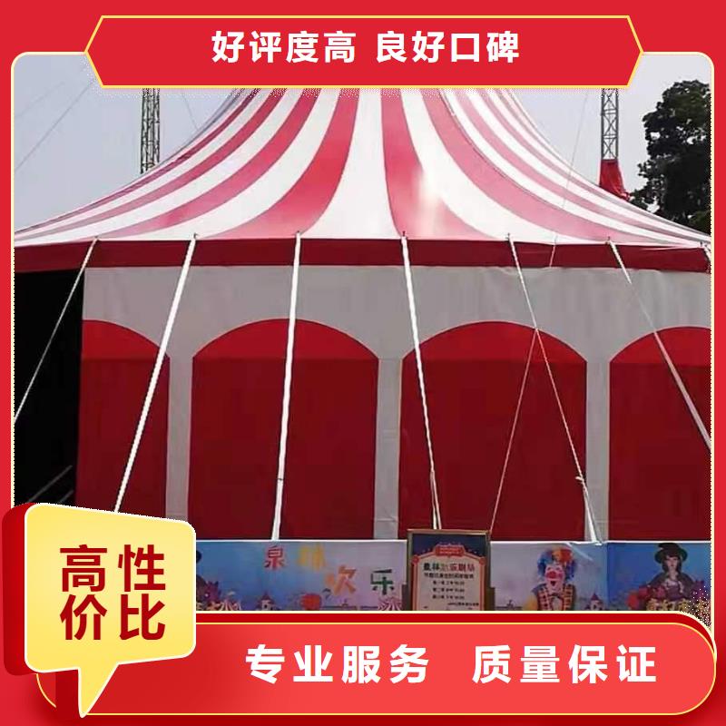 马戏团/羊驼 表演羊驼租赁高效快捷