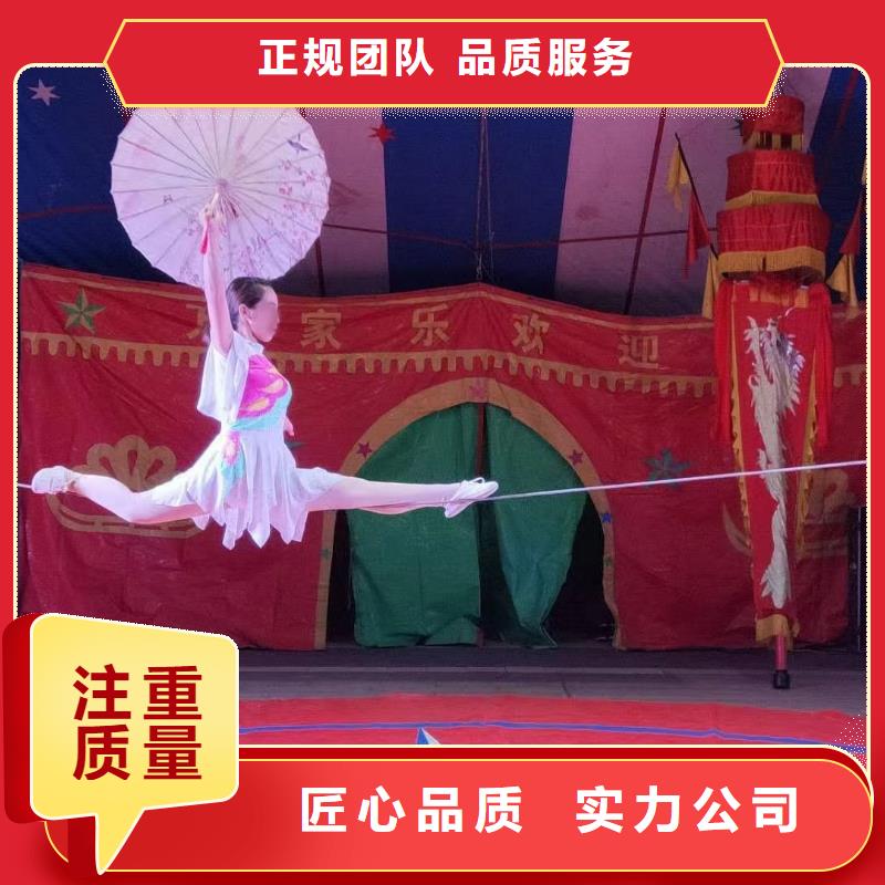 【马戏团/羊驼】美人鱼表演资质齐全