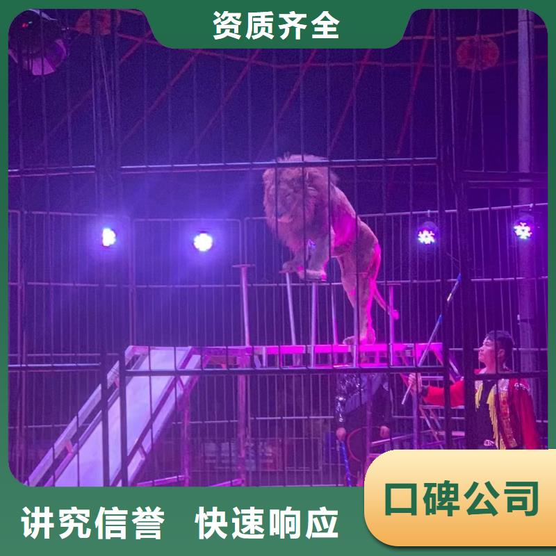 【马戏团/羊驼小马戏出租技术比较好】