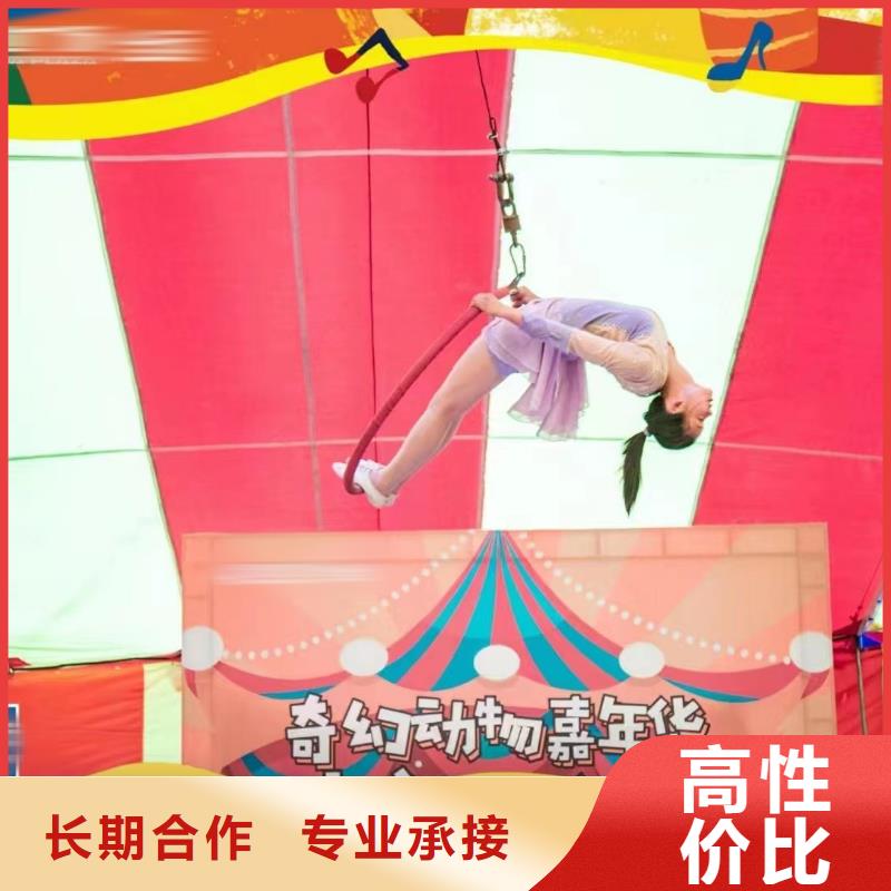 马戏团/羊驼,海狮表演出租随叫随到