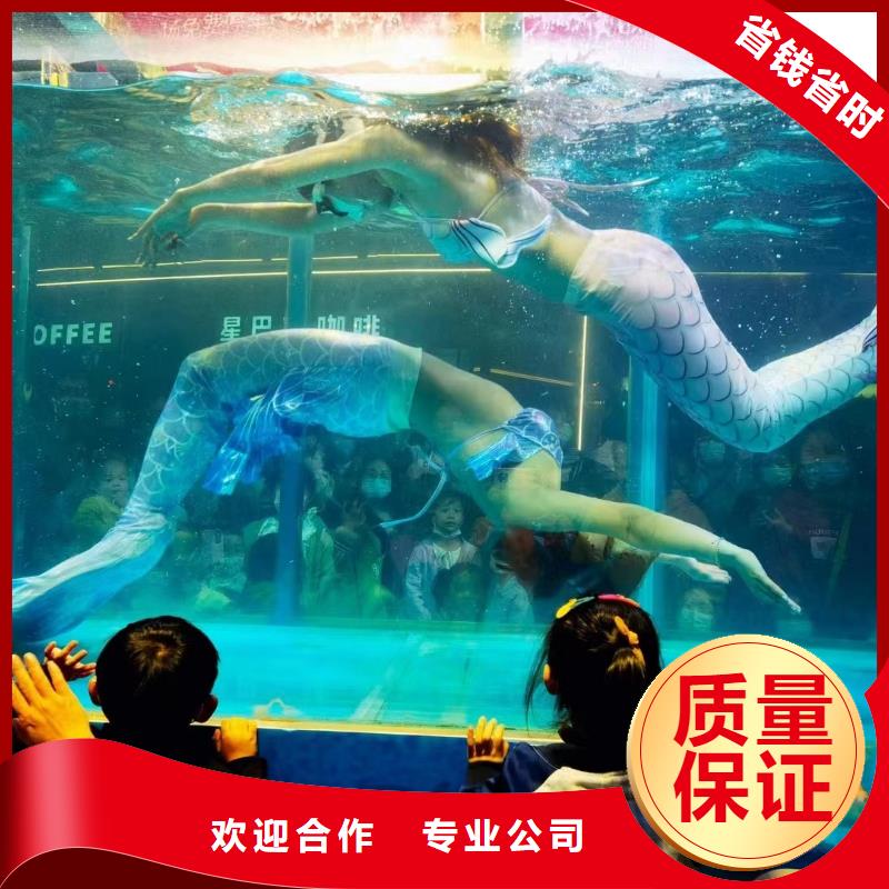 海洋主题动物表演萌宠动物展出租解决方案