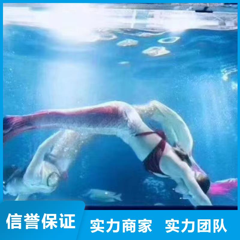 海洋主题动物表演海豚表演售后保障