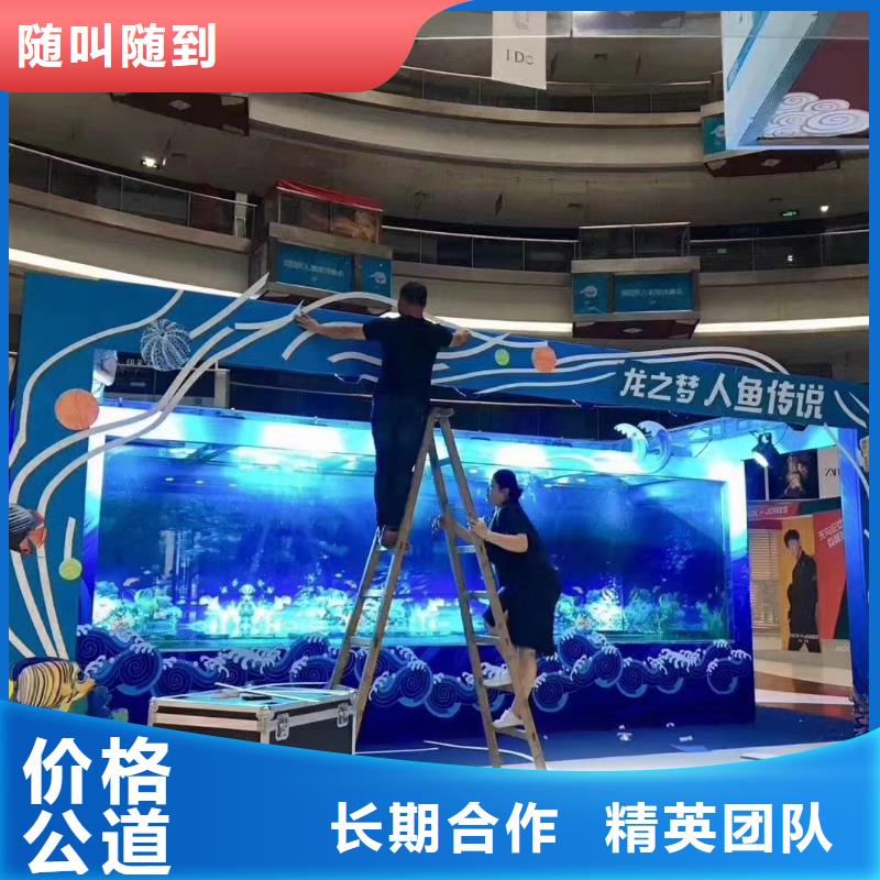 海洋主题动物表演出租动物表演质优价廉