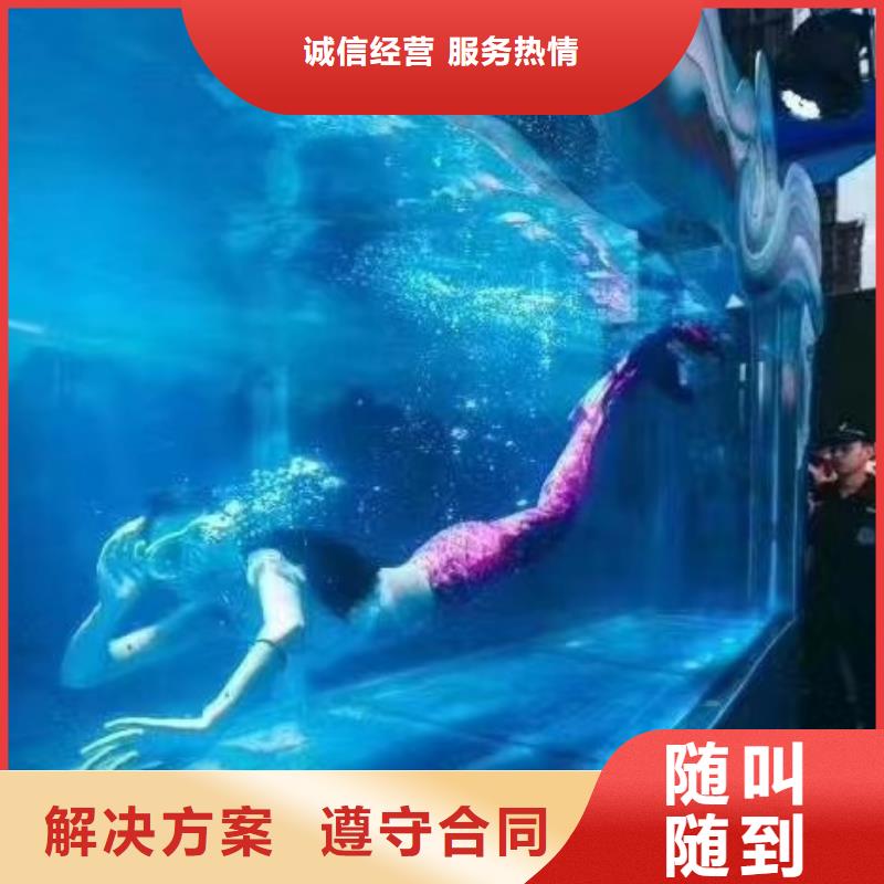 海洋主题动物表演海狮表演出租注重质量