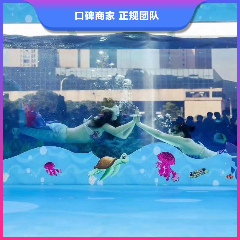【海洋主题动物表演】海豚表演良好口碑