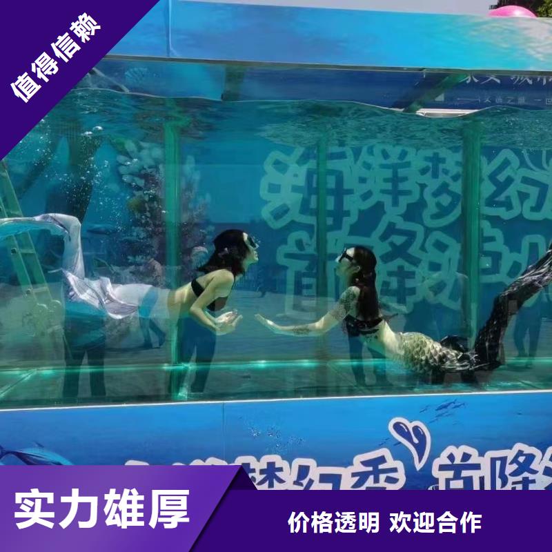 海洋主题动物表演_马戏团表演好评度高