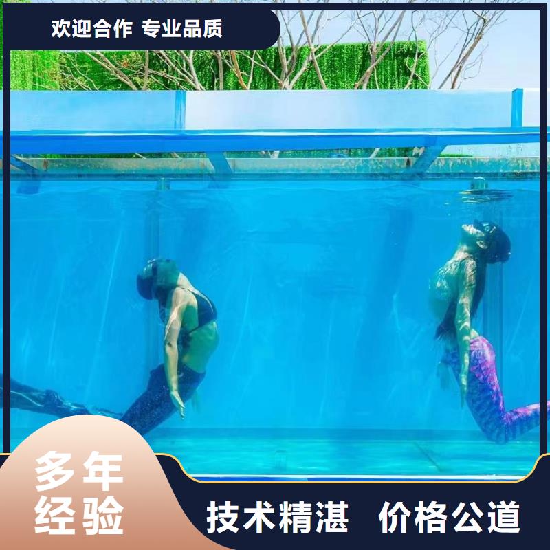 【海洋主题动物表演】海豚表演良好口碑