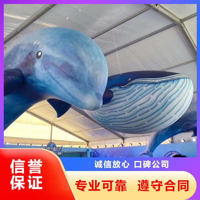 海洋主题动物表演驯兽表演实力强有保证