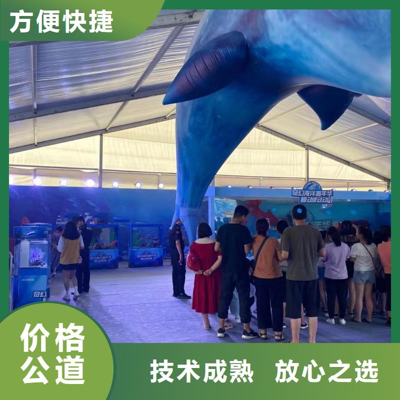 海洋主题动物表演【美人鱼出租演出】2025公司推荐