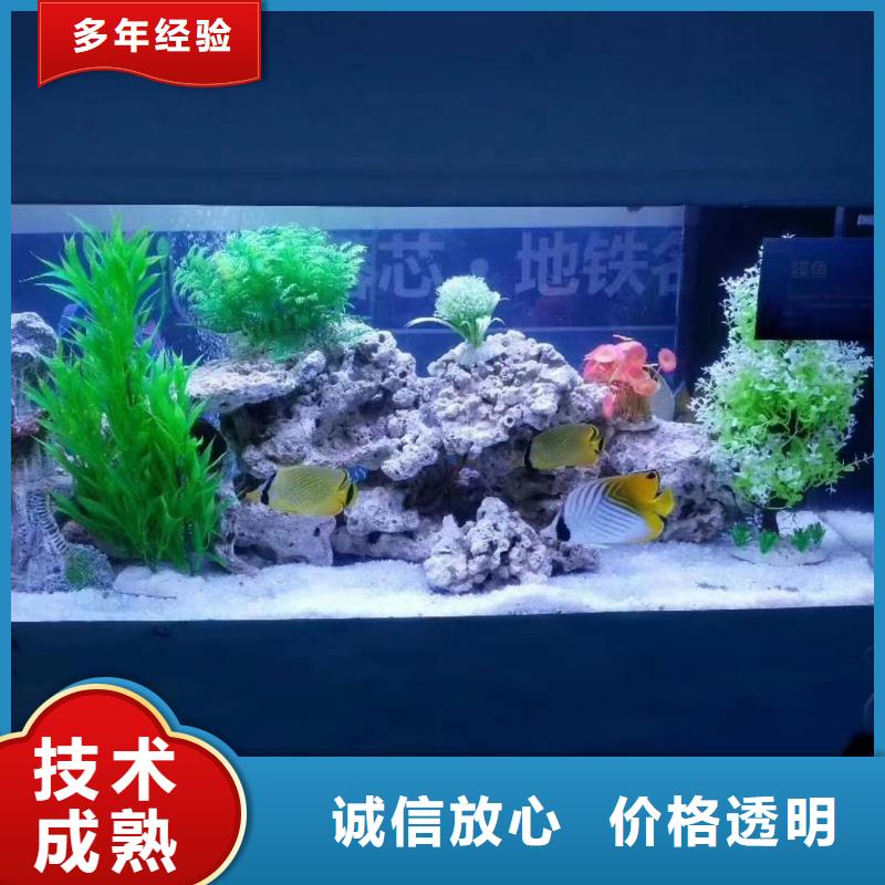 海洋主题动物表演【美人鱼出租演出】快速
