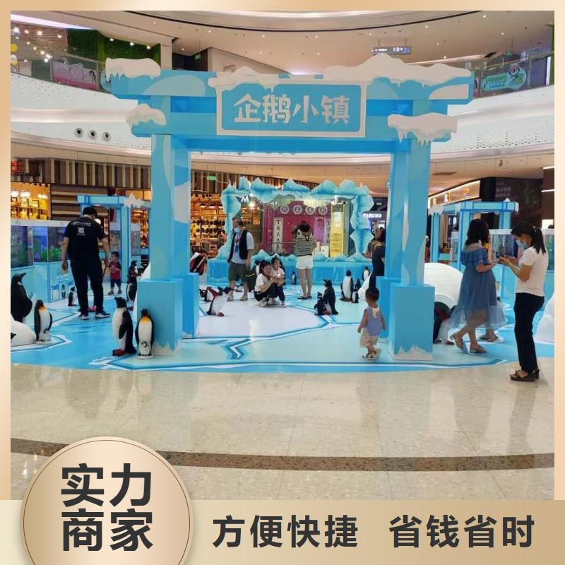 海洋主题动物表演-海狮表演出租快速