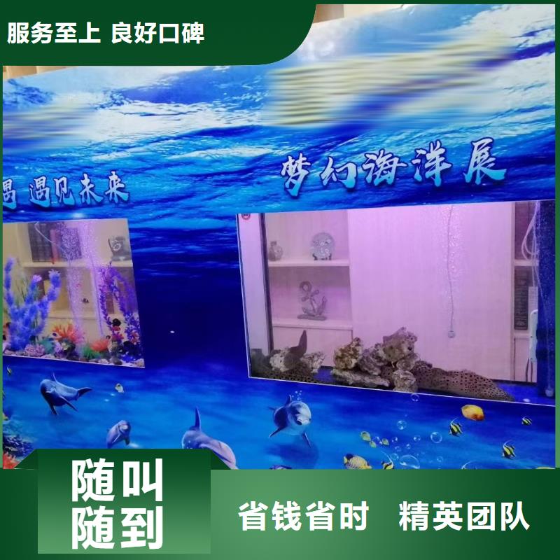 海洋主题动物表演出租羊驼公司