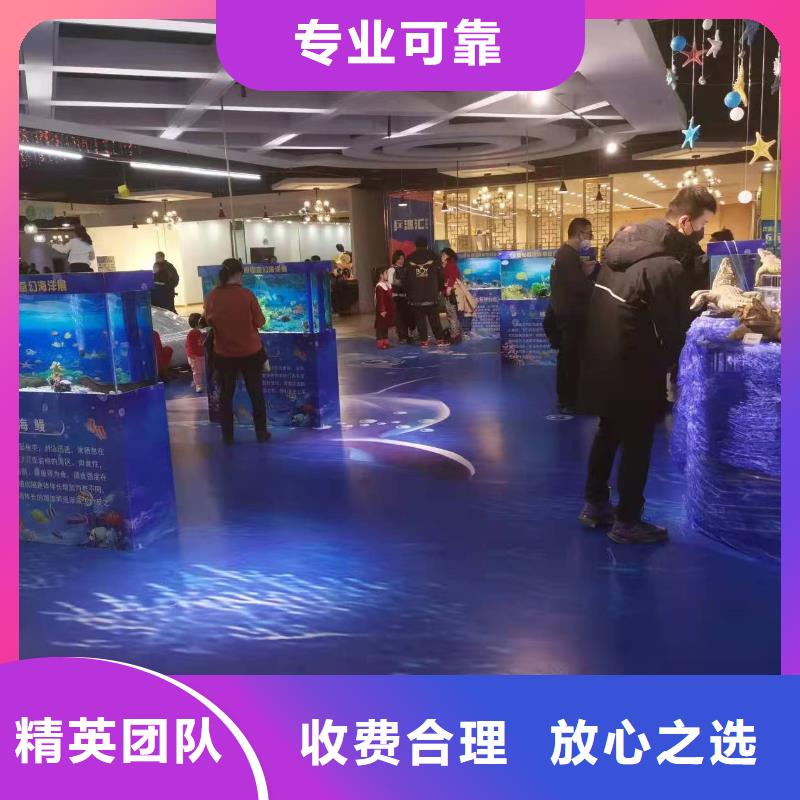 【海洋主题动物表演】-海狮表演出租品质好